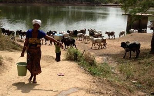 Atebubu: Water crises  forces residents to share water with animals