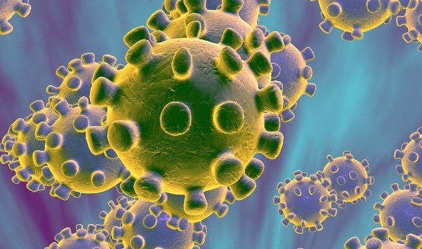 Egypt 'confirms first coronavirus case'