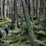 Visiting Haida Gwaii, Canada's most mysterious islands