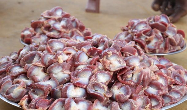 Importers under investigation for importing infested gizzard