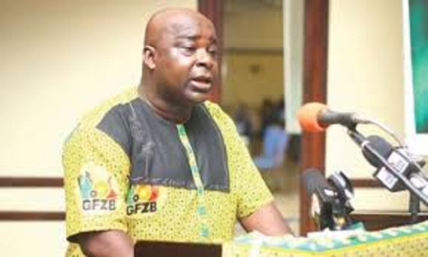 ‘I told Akufo-Addo I wanted to be at Free Zones and he put me there’ – Baafi brags