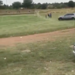Fan tries to run over referee with his car in South Africa