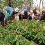 Planting For Food And Jobs: A success story others seek to replicate