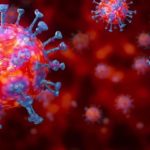 Ghana's Coronavirus case count increases to 10,856