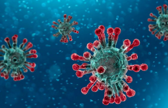 Ghnan's coronavirus cases hit 26,125