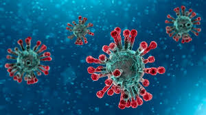 Coronvirus : Its true origin and history