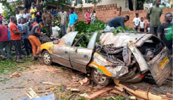 Falling tree kills driver in parked car in Kumasi