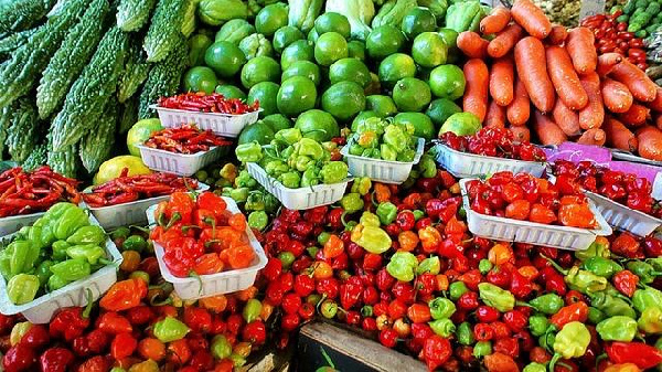 Government to revamp vegetable sector