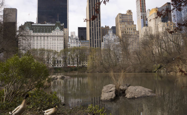 Man’s Body Found in New York City's Central Park, Reports Say