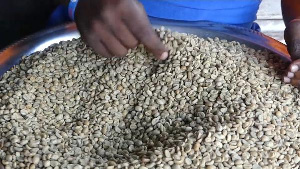 DRC: A coffee entrepreneur's success