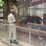 Kumasi Zoo closed for renovation works