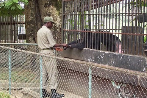 Kumasi Zoo closed for renovation works