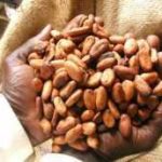 Ghana, Cote D’Ivoire take action on Security of Cocoa Farmers
