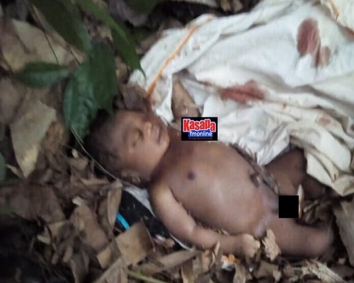 19 year old mother allegedly kills fresh baby dumps body in the bush