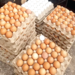 Ghana Egg Campaign donates to Kumasi Prisons