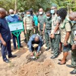 Green Ghana programme launched to plant 5 million trees in Ghana