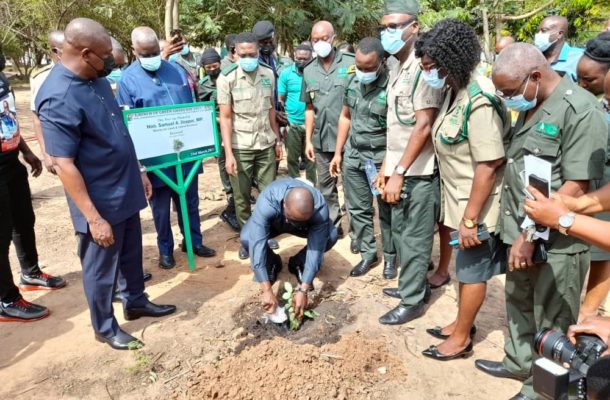 Green Ghana programme launched to plant 5 million trees in Ghana