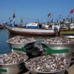 Fishermen demand investigations into cause of fish deaths along coastline