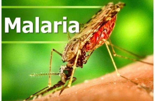 Malaria prevention drugs for Bono East kids