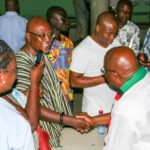 Revert to core party values in solving issues - NDC stalwarts advise
