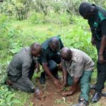Mole National Park takes delivery of 15,000 seedlings under Green Ghana Project