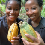 Meet the sisters making revolutionary chocolate in Ghana
