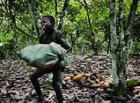 No ban on Ghana Cocoa over Child Labour claims — EU