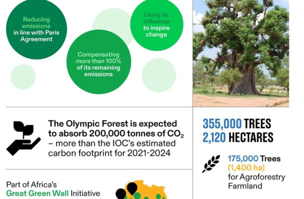 IOC reveals details of its Olympic Forest  project