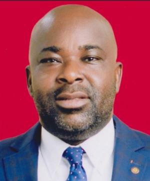 Don't politicise tree planting exercise — Baafi