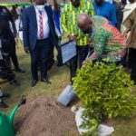Green Ghana Day initiative won’t be a one-off event – Akufo-Addo