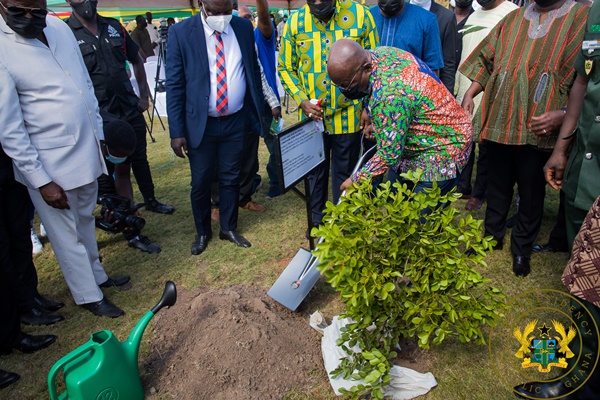 Green Ghana Day initiative won’t be a one-off event – Akufo-Addo