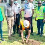Don’t plant trees under electrical installations — ECG