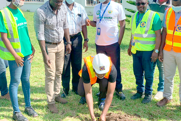 Don’t plant trees under electrical installations — ECG