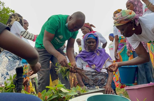 Green Ghana Day: Global Shea Alliance to plant 10 Million shea trees across West Africa