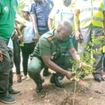Green Ghana project to be institutionalised