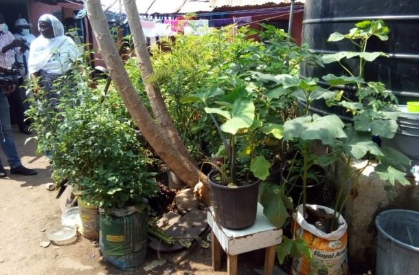 Ghanaians urged to explore urban gardening as viable option for generating extra income