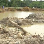 Seth Anim Owusu writes: Stop galamsey and restore our ecosystem