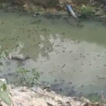 Man found dead in river at Kasoa