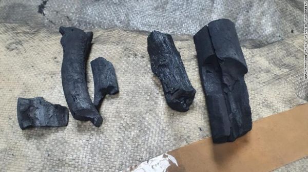 Cocaine disguised as charcoal worth $41 million seized by police (Photos)