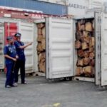 Exportation of rosewood banned with immediate effect - Jinapor
