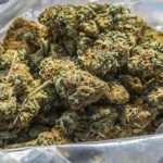 Ghana Immigration Service busts 1,550 parcels of suspected weed