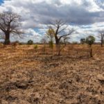 Africa needs $50bn a year for climate change fight