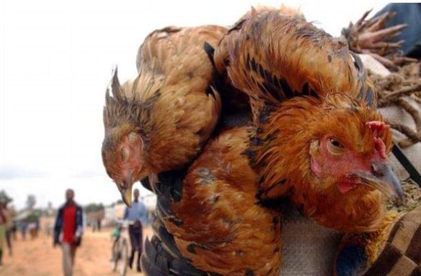 GHc44m Approved To Fight Bird Flu