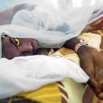 Yellow fever kills 25 in Savannah, Upper West regions