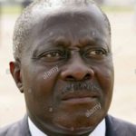 I will build NPP into an all-inclusive party for Victory 2024 - Former Foreign Affairs Minister