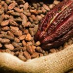 Two in police grip at Aflao border for attempted cocoa smuggling