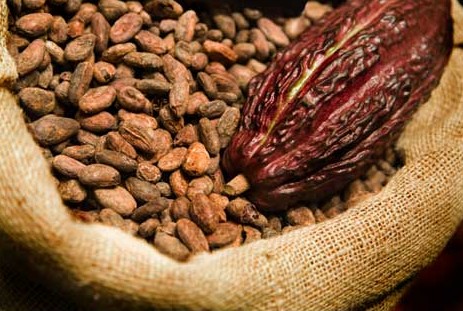 Two in police grip at Aflao border for attempted cocoa smuggling