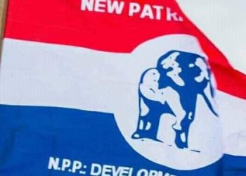 NPP delegate dies after his candidate failed to win chairmanship race