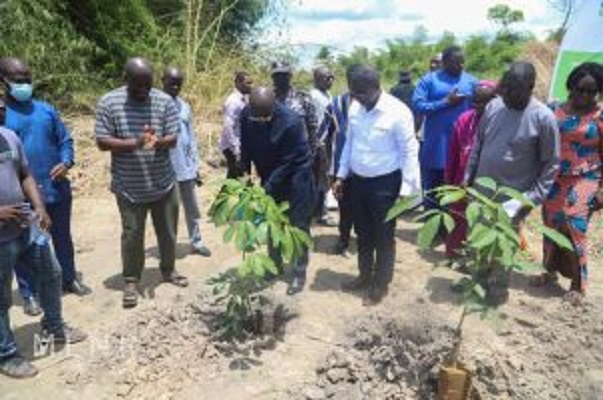 Bawumia cuts sod for €1.8million rubber plantation project