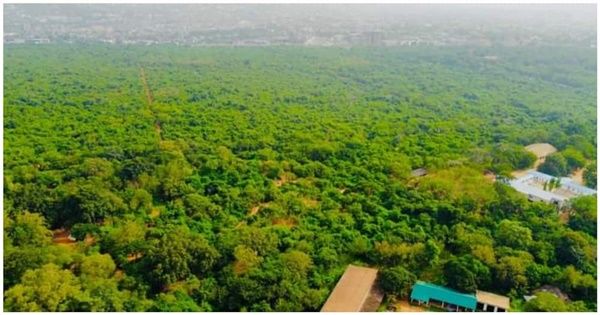 Ministry of Lands to investigate Achimota Forest Land allegedly owned by Late Sir John